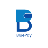Bluepay Services Pvt Ltd